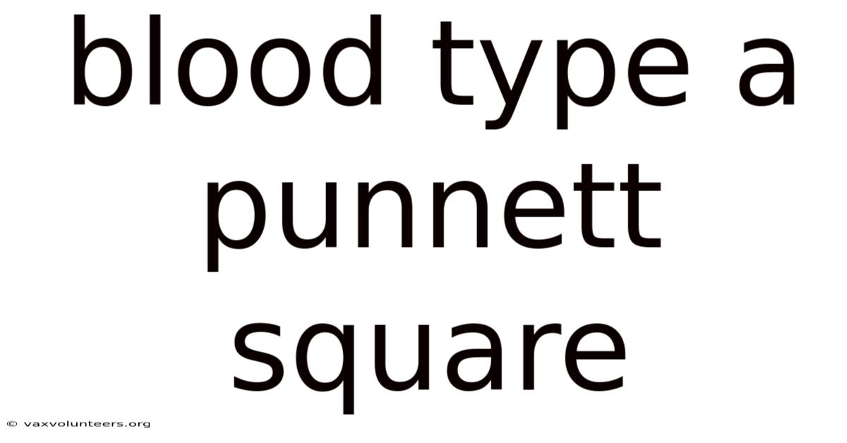 Blood Type A Punnett Square