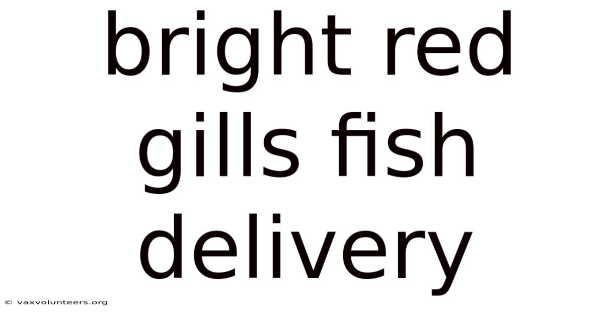 Bright Red Gills Fish Delivery