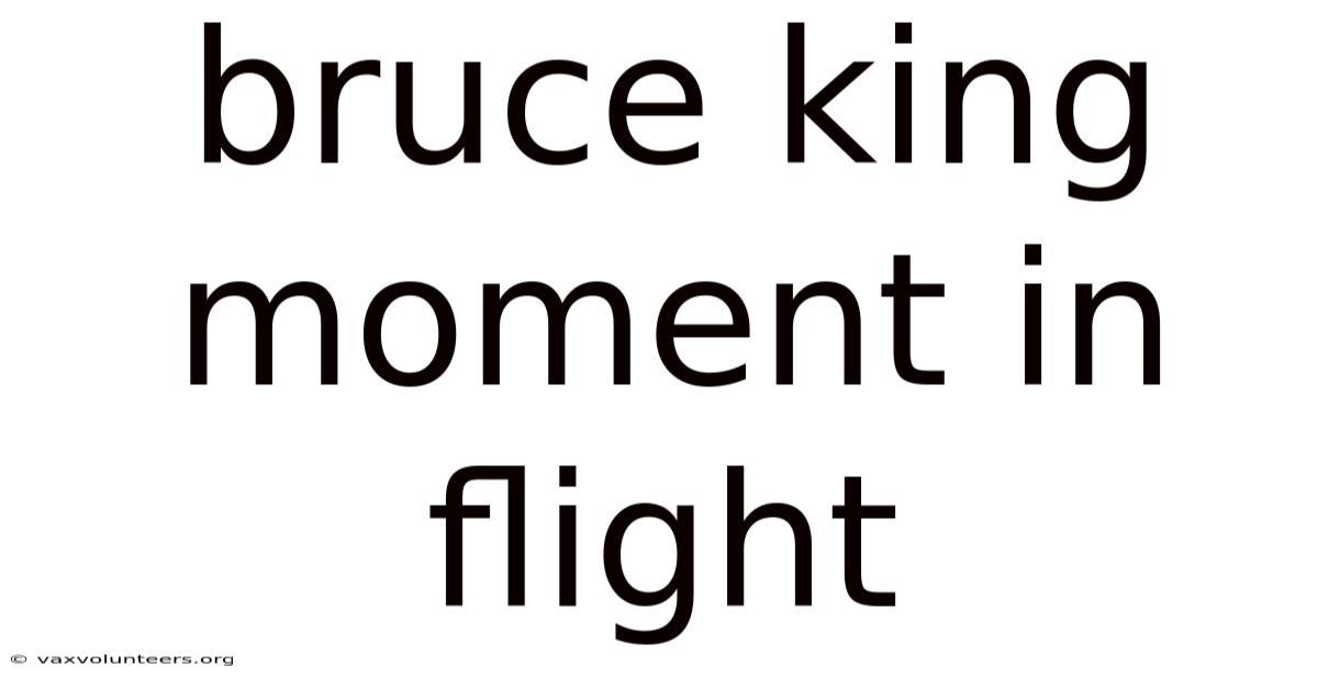 Bruce King Moment In Flight