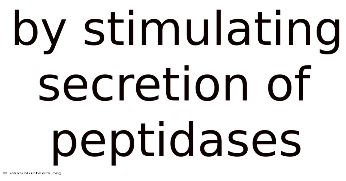 By Stimulating Secretion Of Peptidases