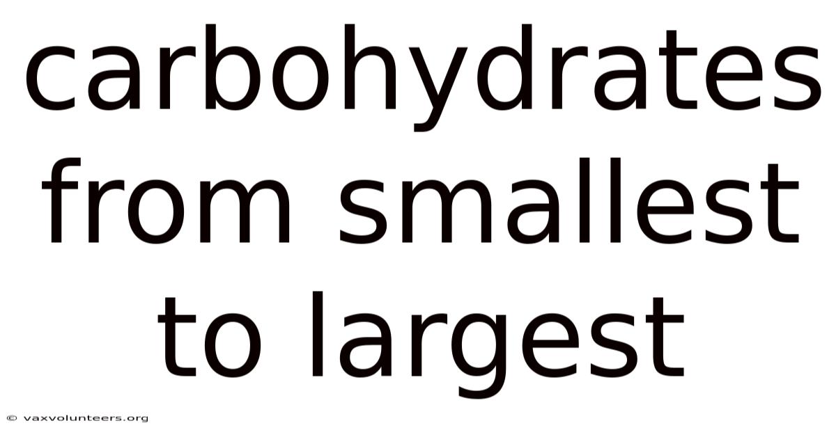 Carbohydrates From Smallest To Largest