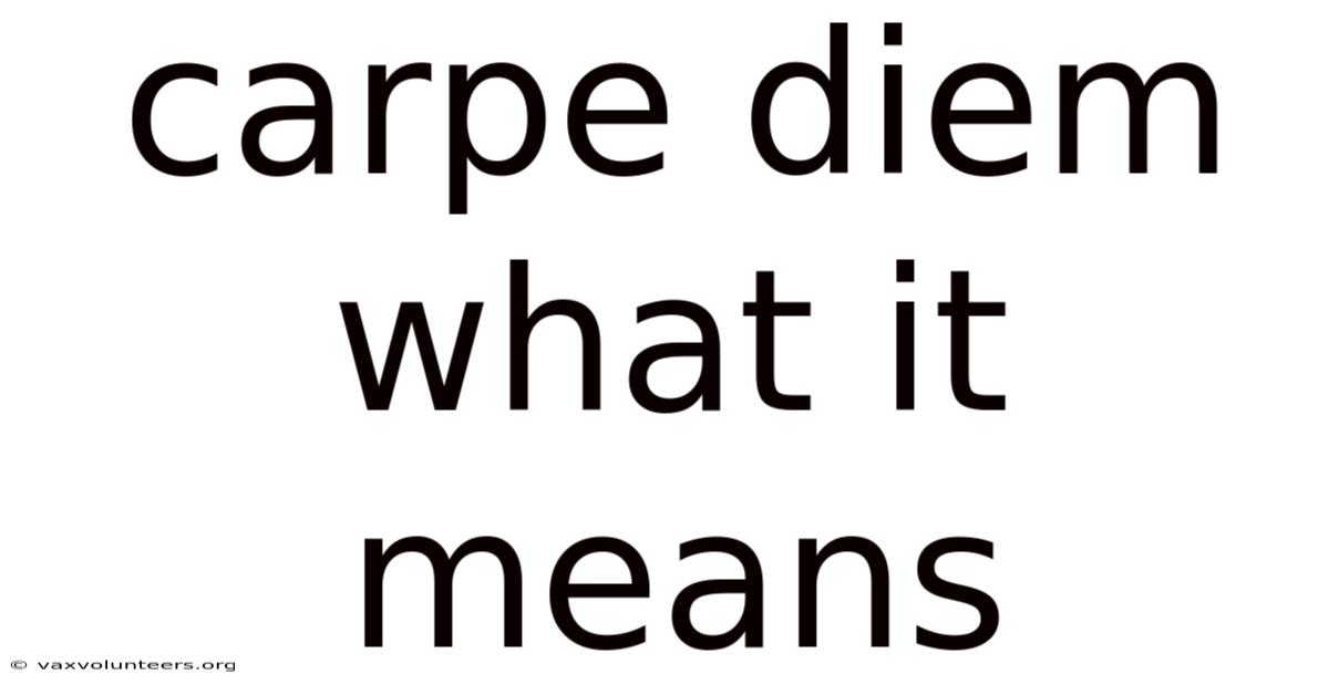 Carpe Diem What It Means