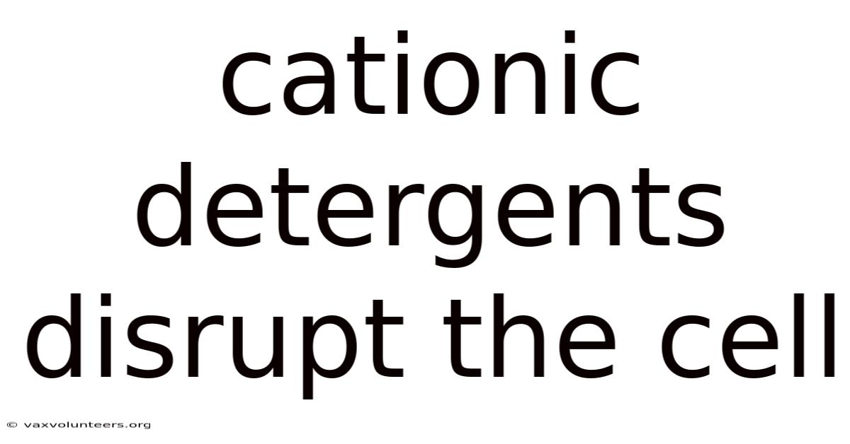 Cationic Detergents Disrupt The Cell