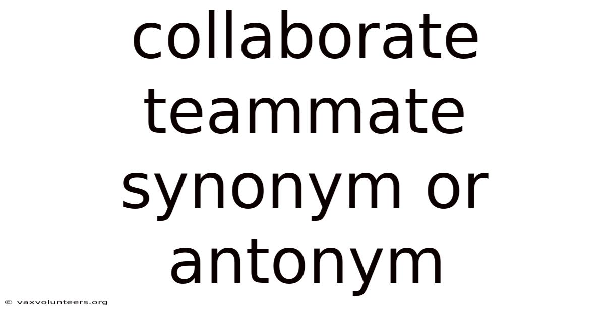 Collaborate Teammate Synonym Or Antonym