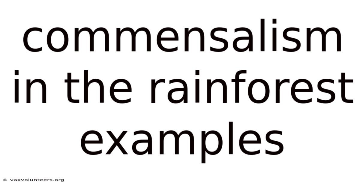Commensalism In The Rainforest Examples