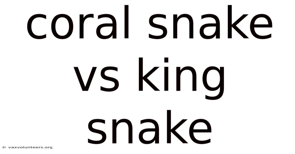Coral Snake Vs King Snake