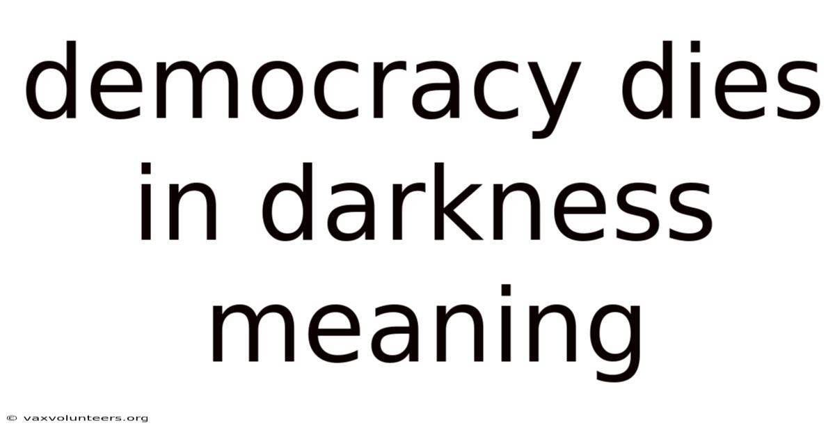 Democracy Dies In Darkness Meaning