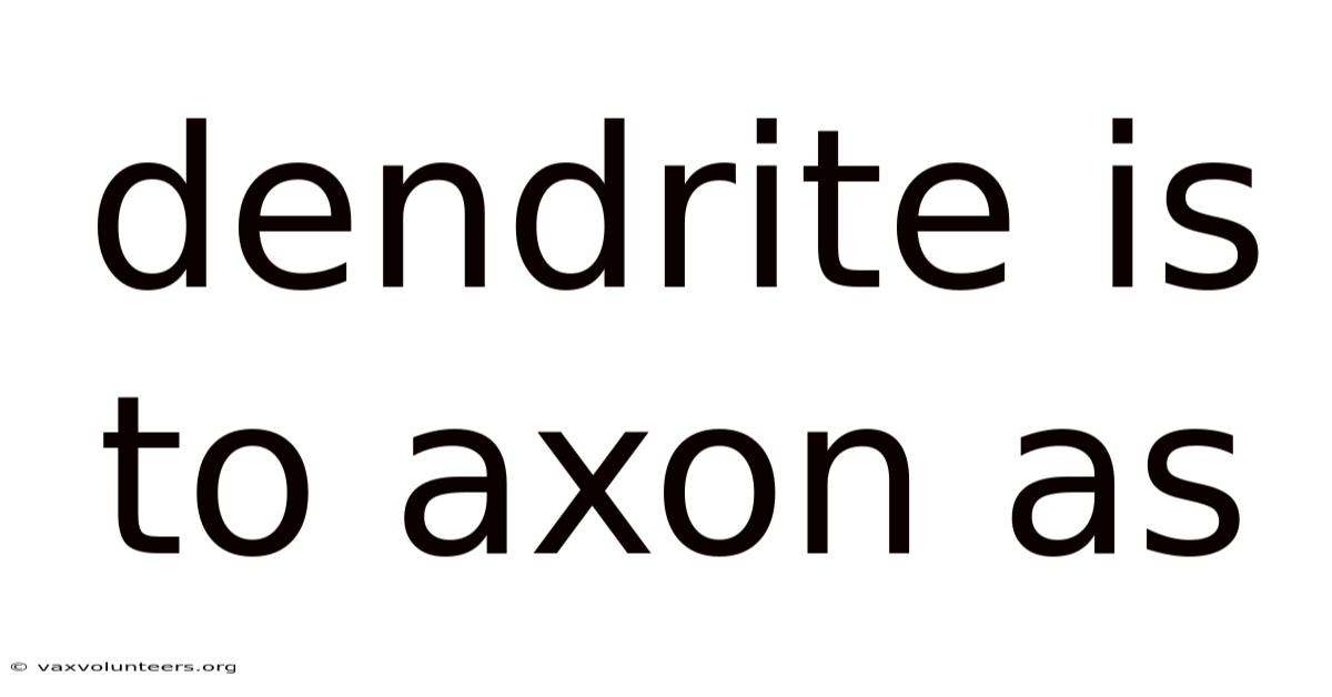 Dendrite Is To Axon As