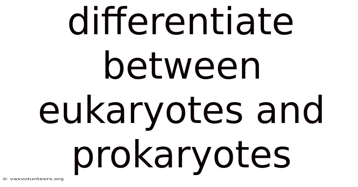Differentiate Between Eukaryotes And Prokaryotes