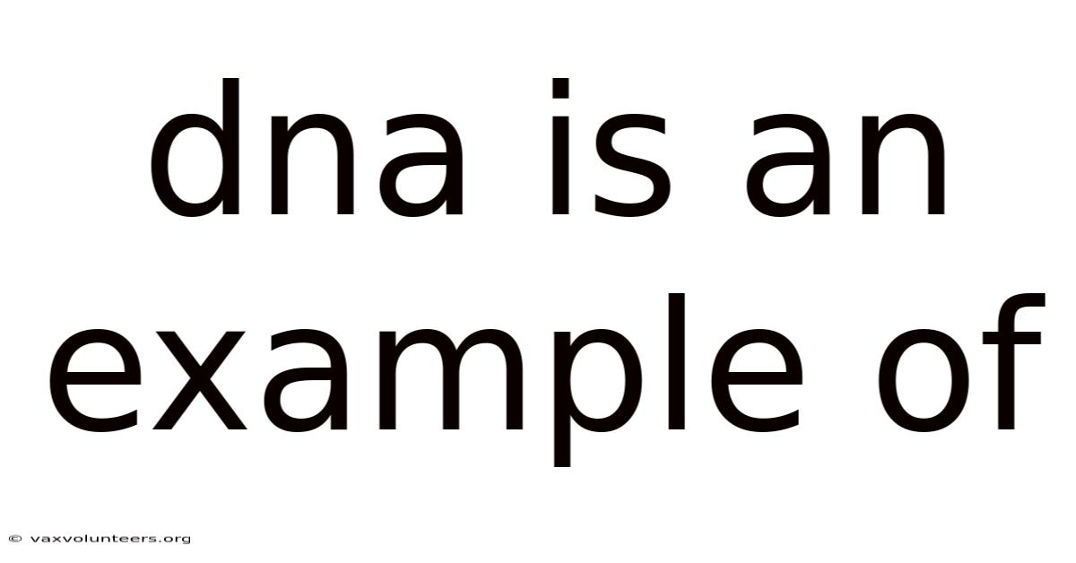 Dna Is An Example Of