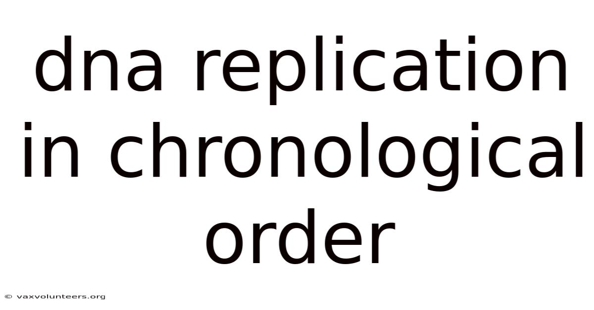 Dna Replication In Chronological Order