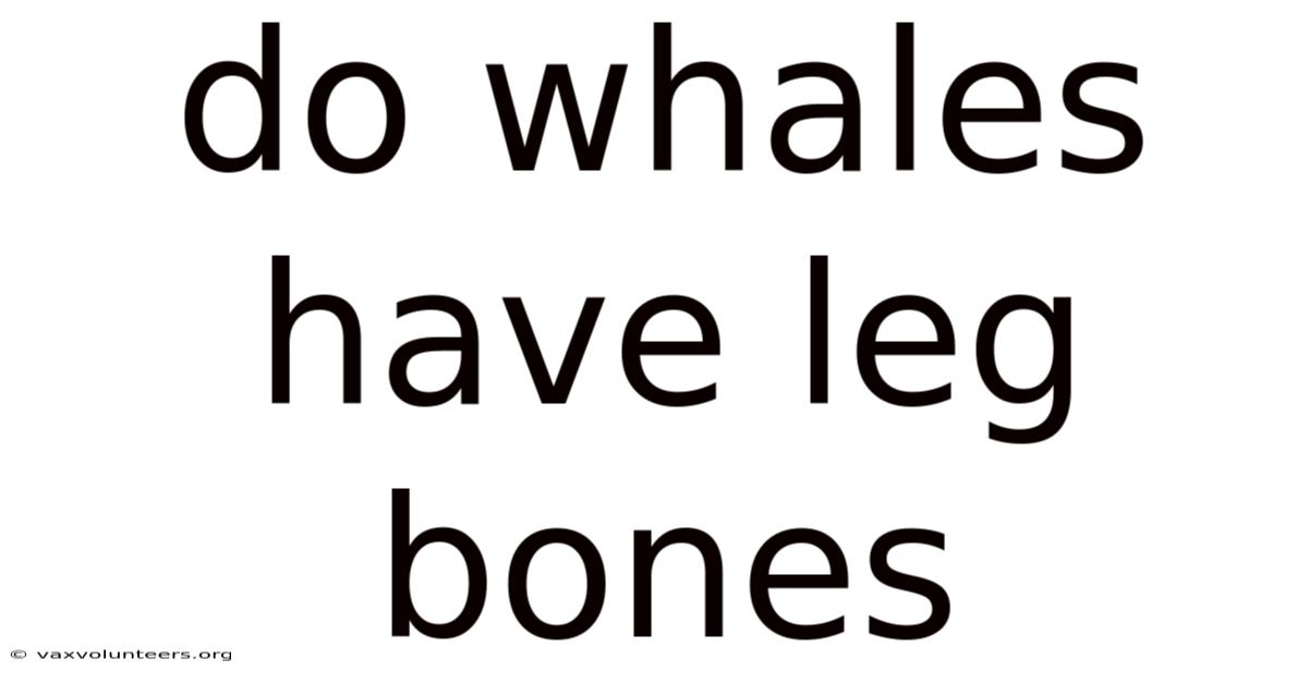 Do Whales Have Leg Bones