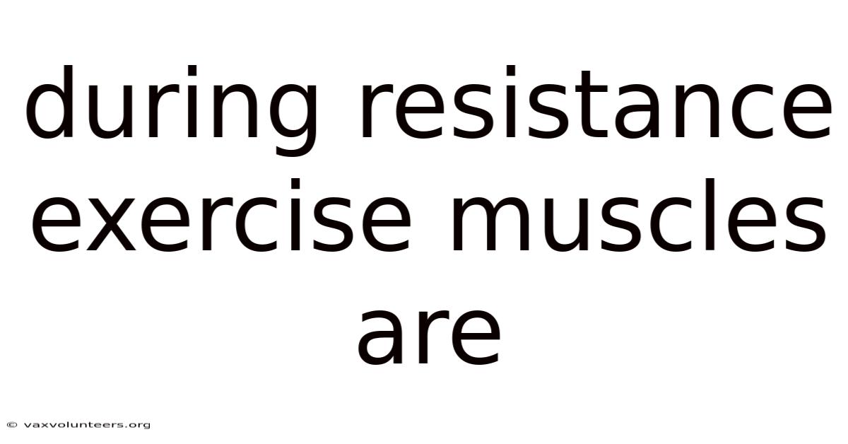 During Resistance Exercise Muscles Are
