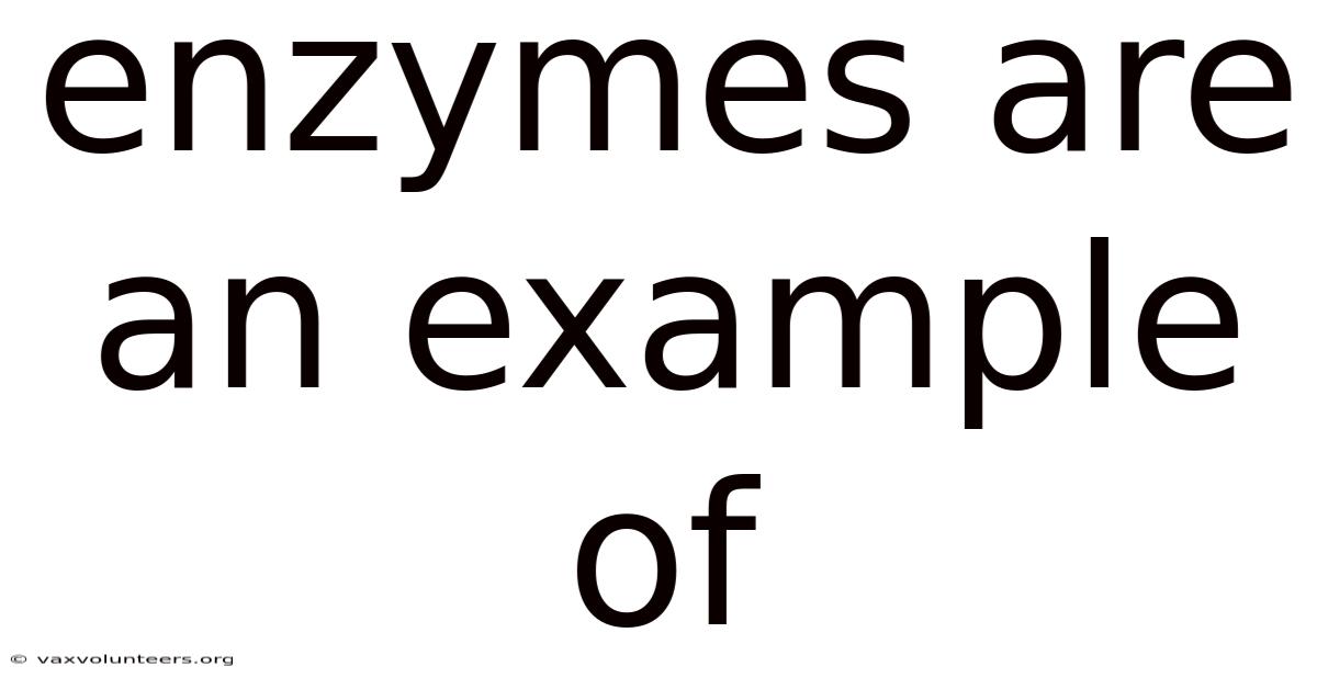 Enzymes Are An Example Of