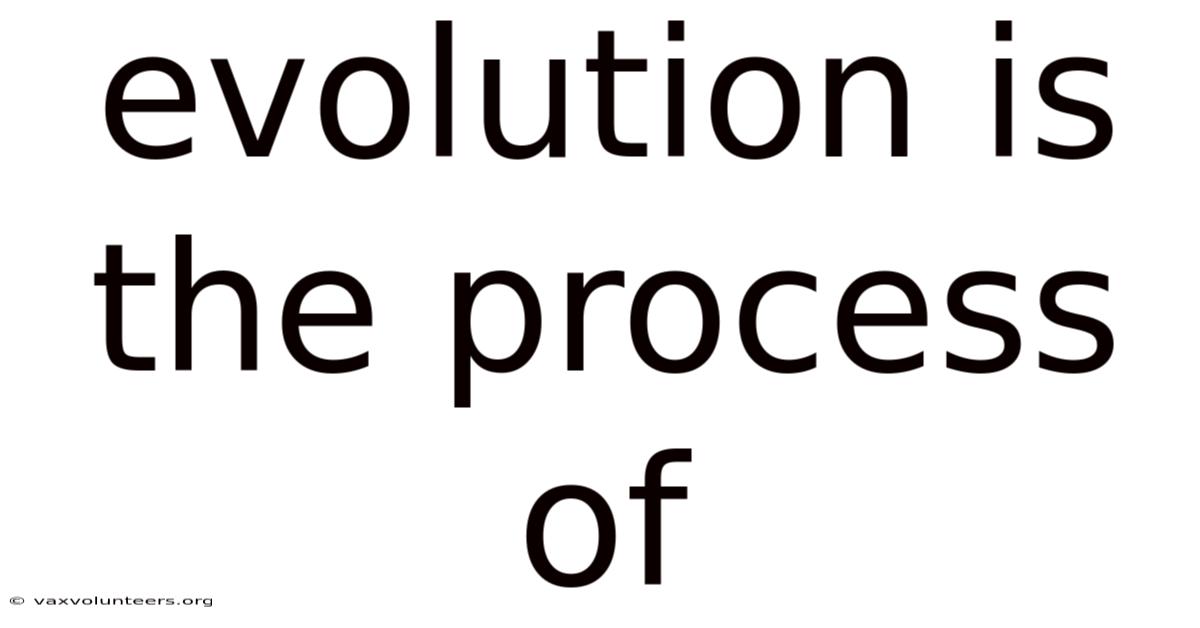 Evolution Is The Process Of