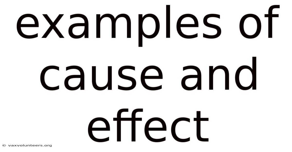 Examples Of Cause And Effect