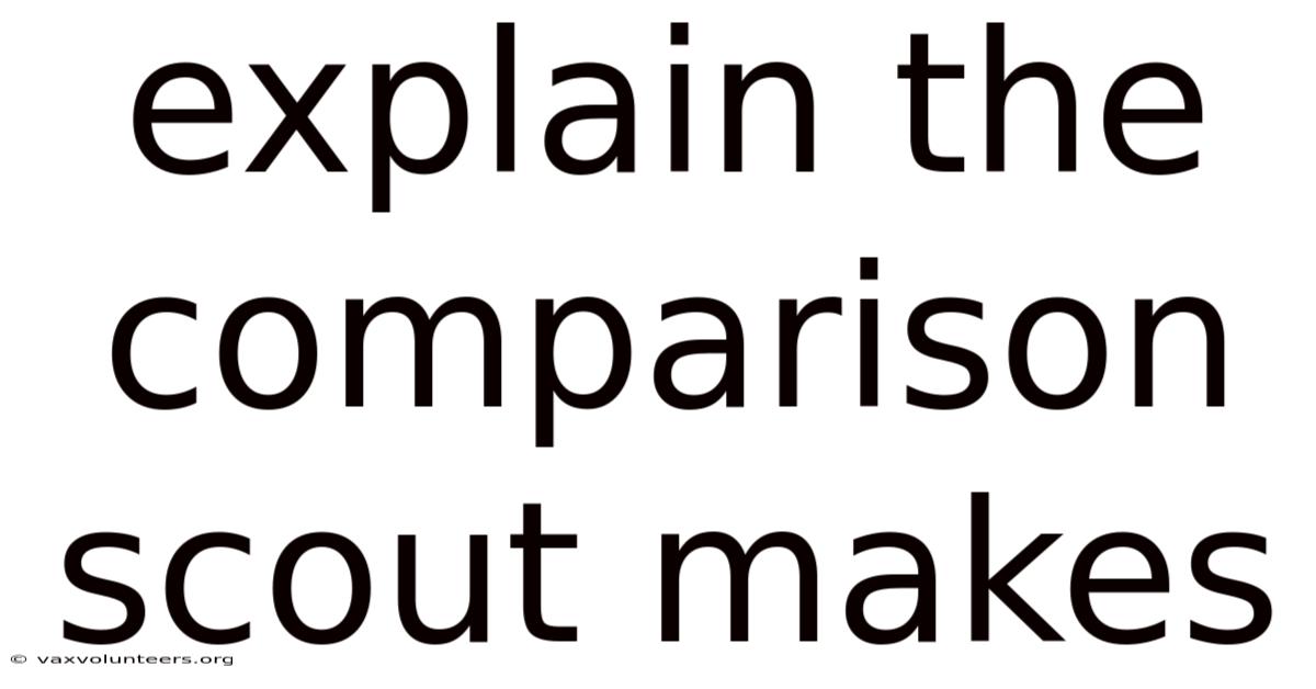Explain The Comparison Scout Makes