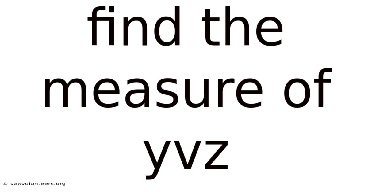Find The Measure Of Yvz