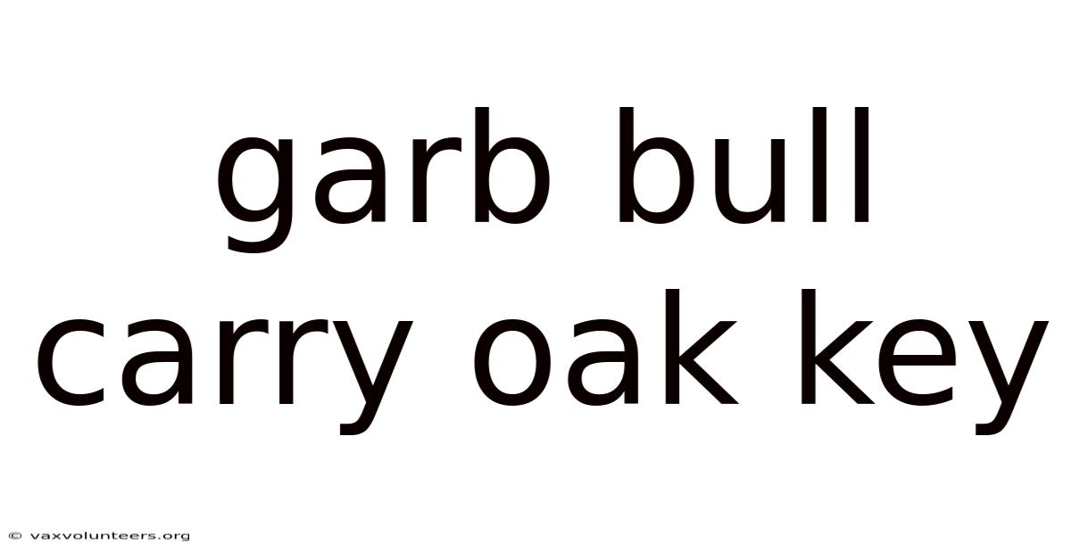 Garb Bull Carry Oak Key