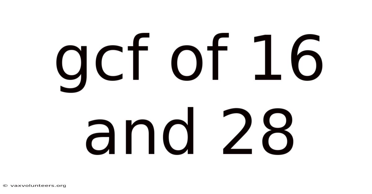 Gcf Of 16 And 28