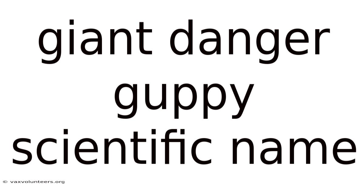 Giant Danger Guppy Scientific Name