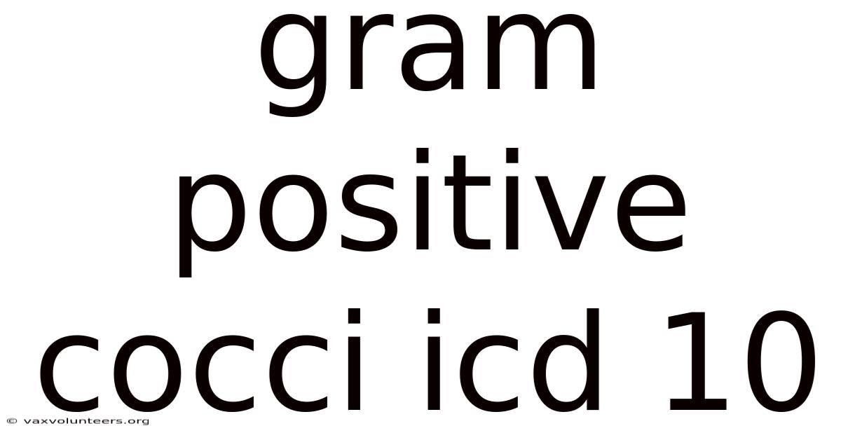 Gram Positive Cocci Icd 10