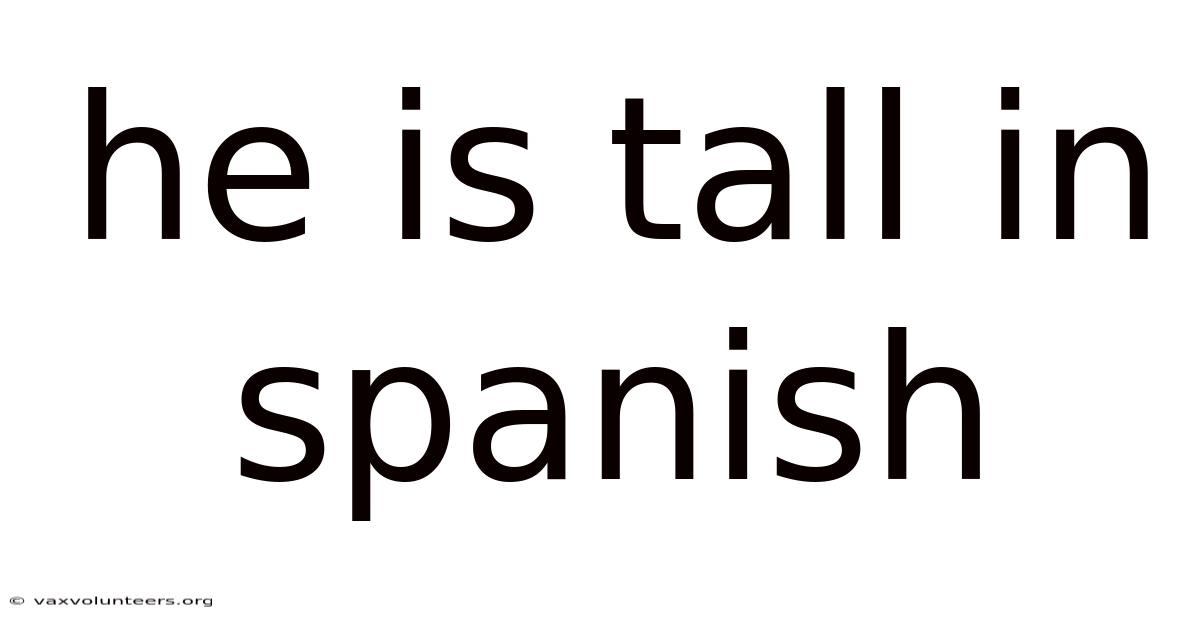He Is Tall In Spanish