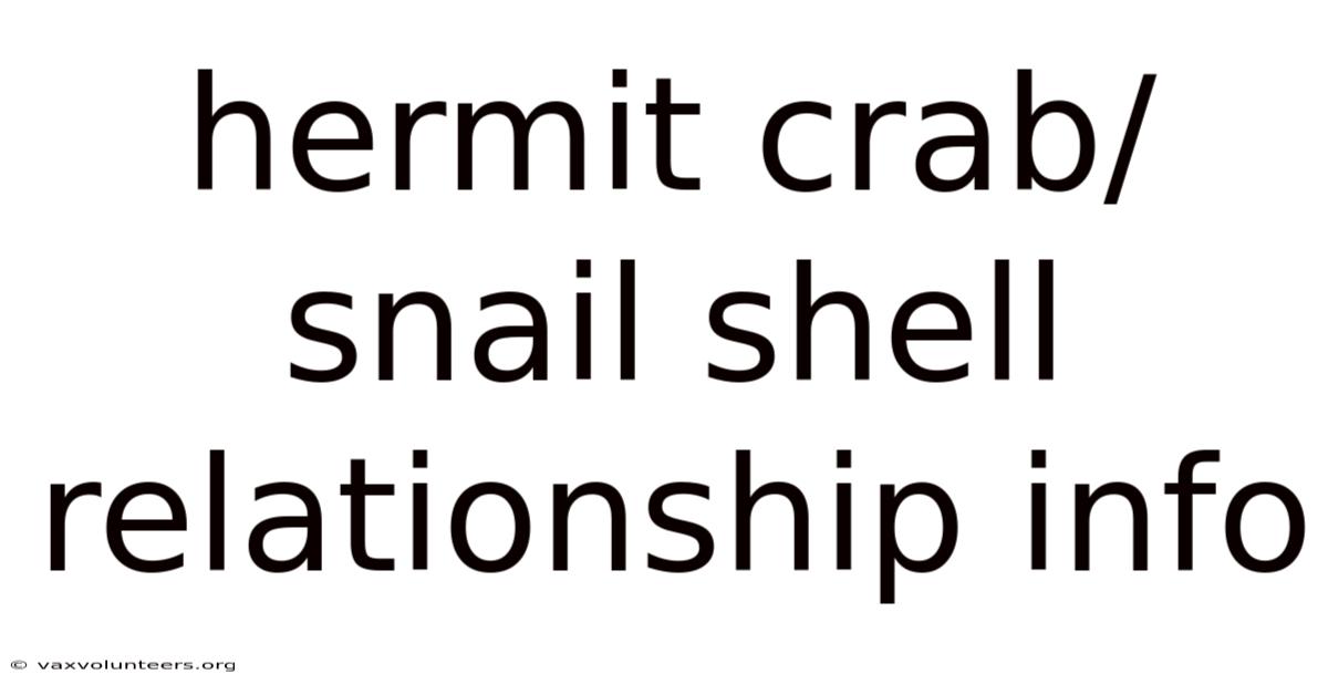 Hermit Crab/snail Shell Relationship Info