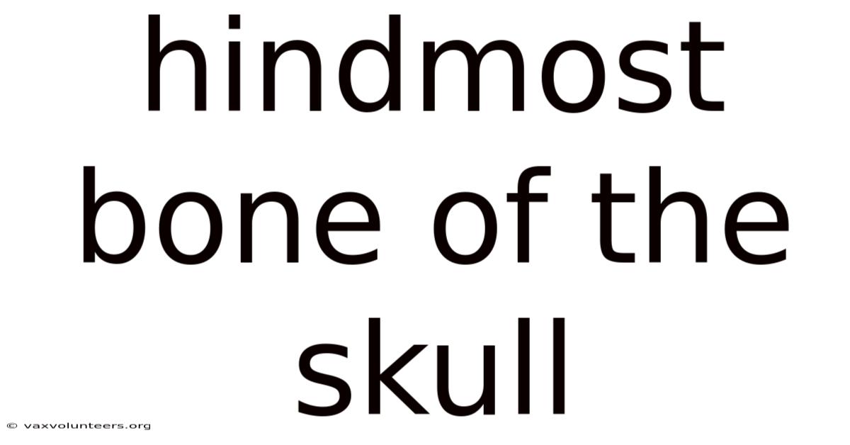 Hindmost Bone Of The Skull