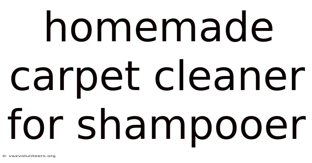 Homemade Carpet Cleaner For Shampooer