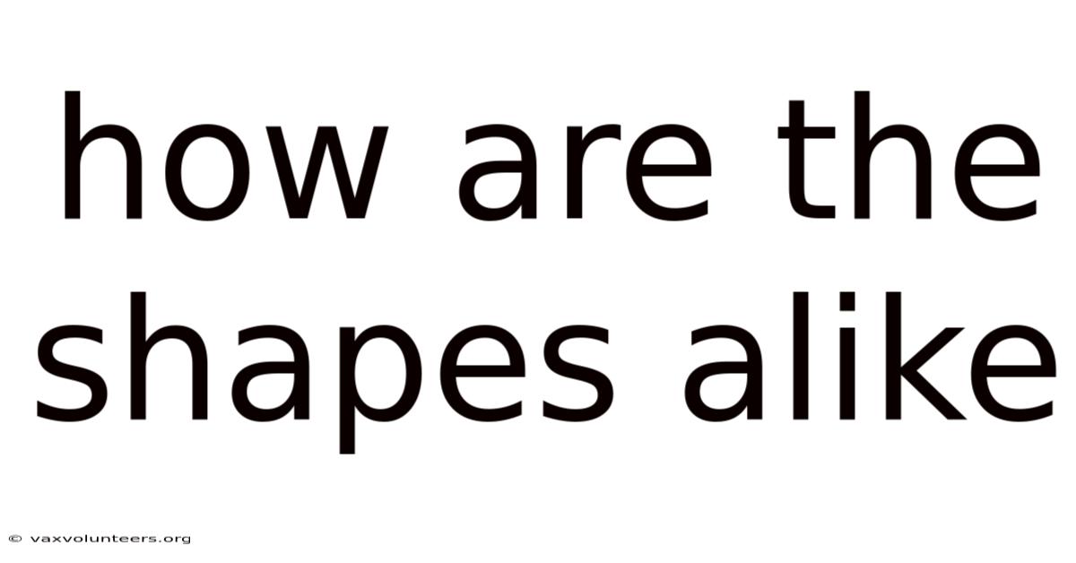 How Are The Shapes Alike