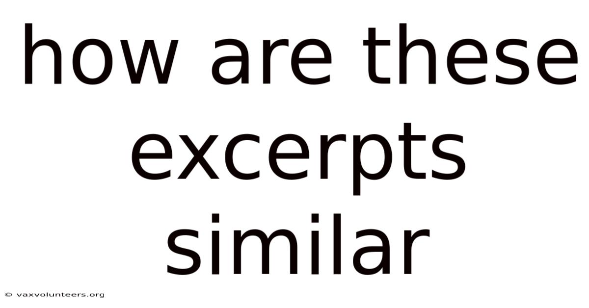 How Are These Excerpts Similar