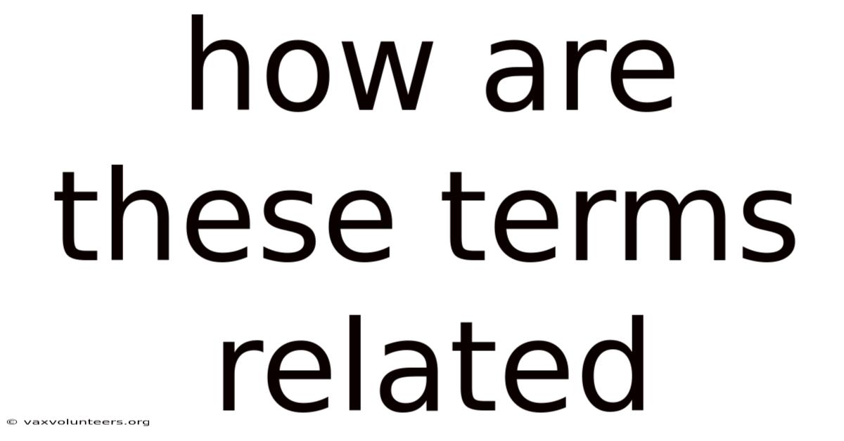 How Are These Terms Related