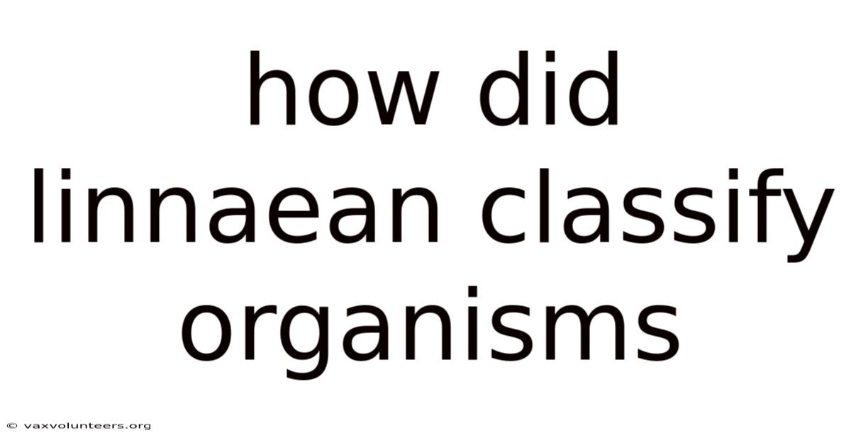 How Did Linnaean Classify Organisms