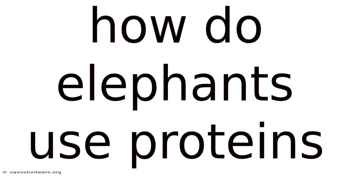 How Do Elephants Use Proteins