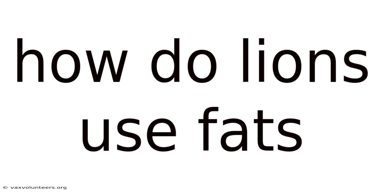 How Do Lions Use Fats