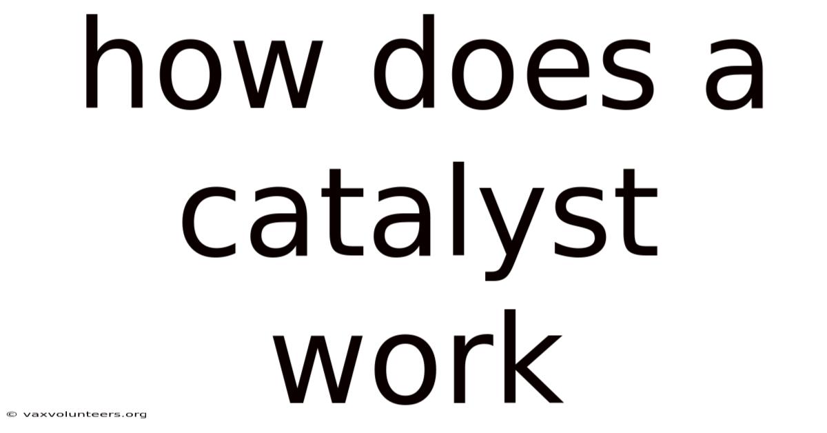How Does A Catalyst Work