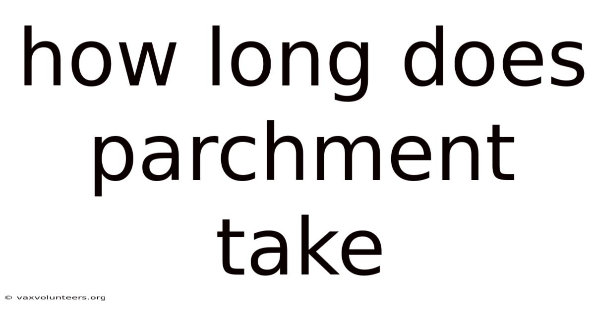 How Long Does Parchment Take
