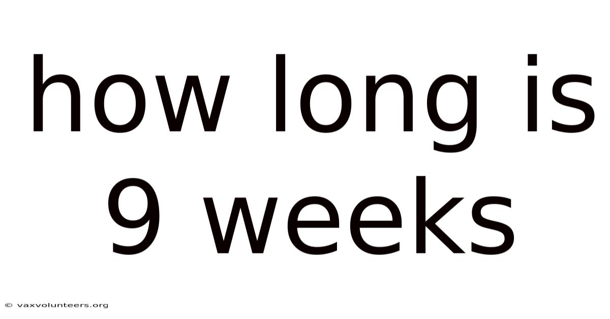 How Long Is 9 Weeks