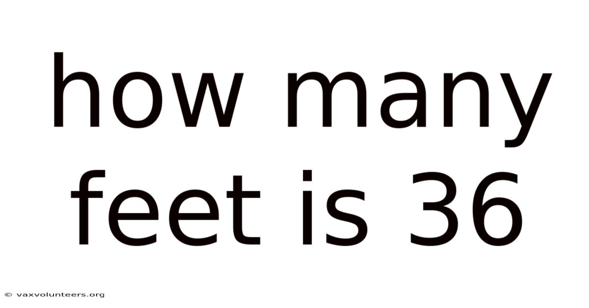 How Many Feet Is 36