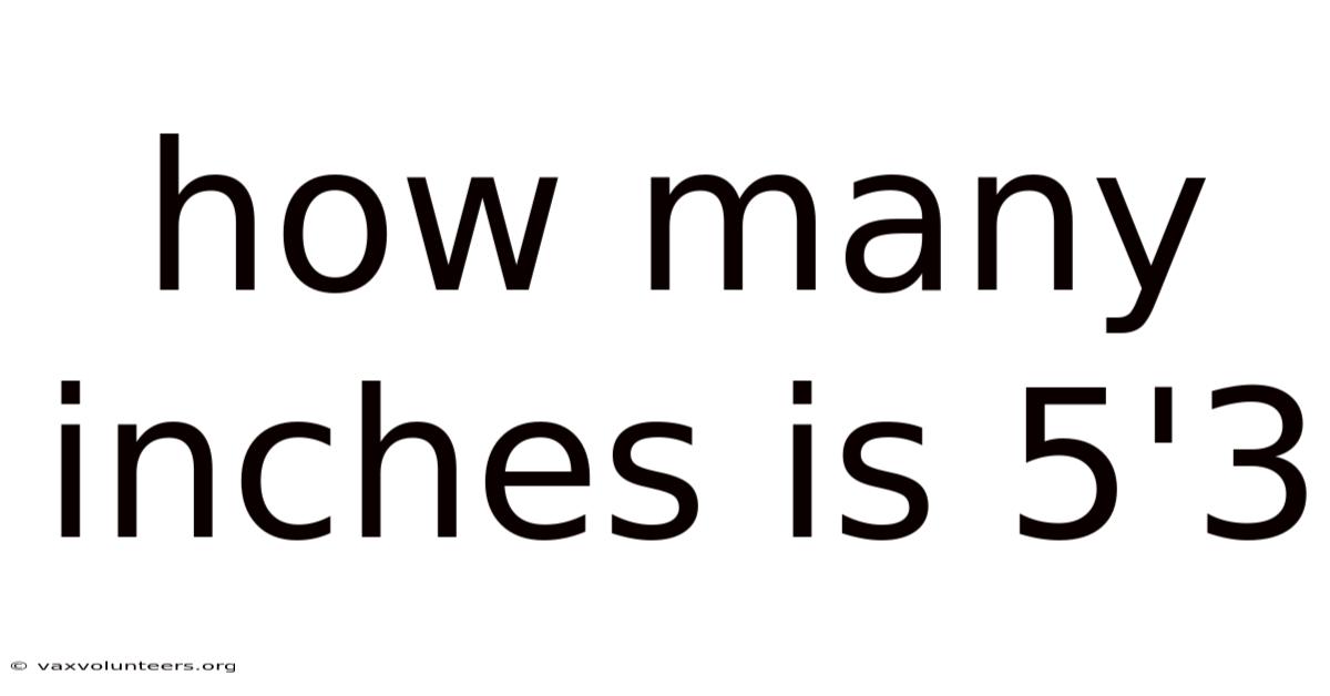 How Many Inches Is 5'3