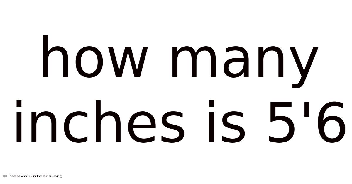 How Many Inches Is 5'6