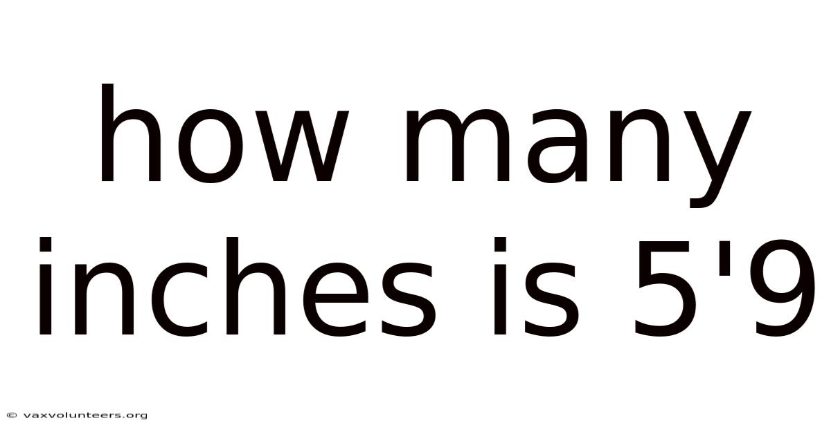 How Many Inches Is 5'9