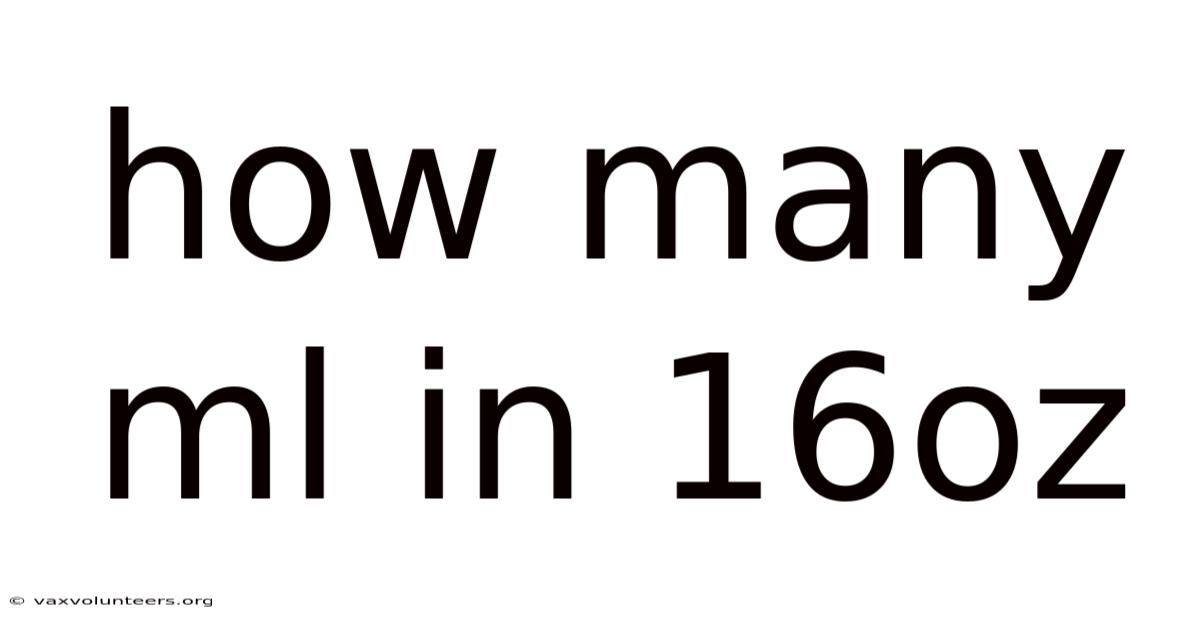 How Many Ml In 16oz