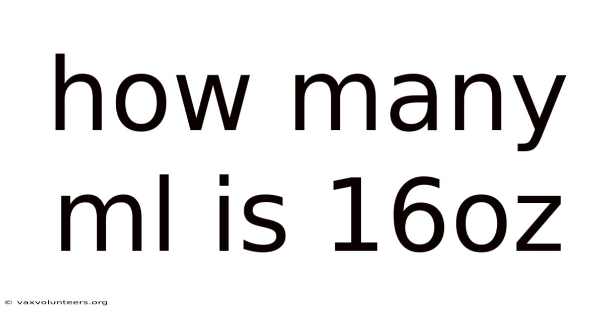 How Many Ml Is 16oz