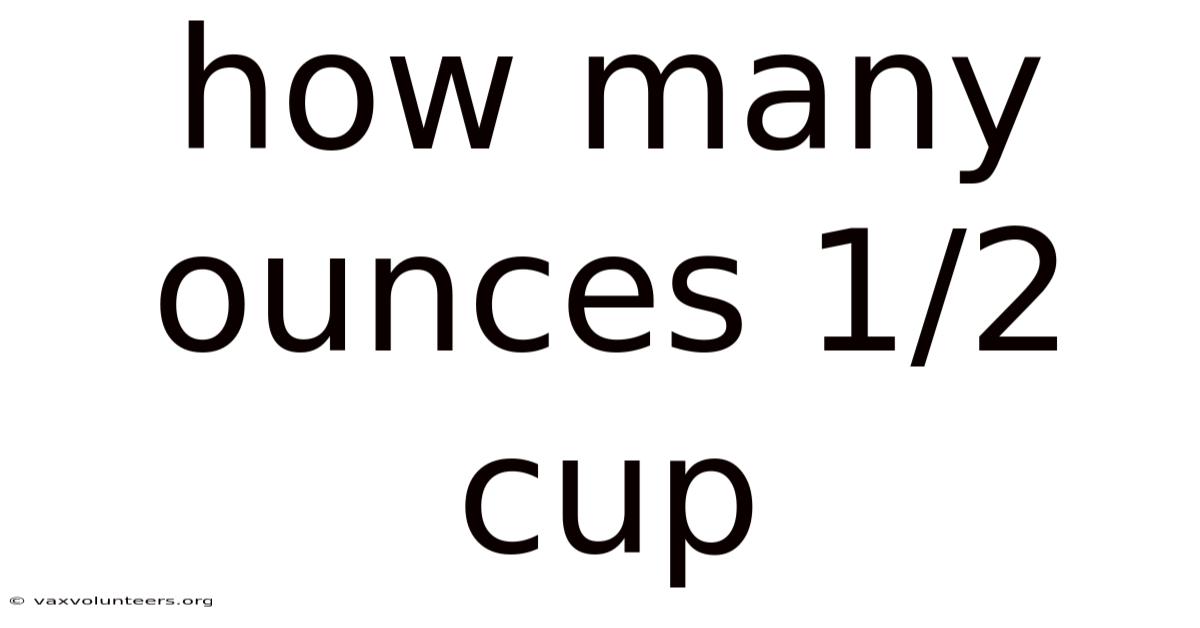 How Many Ounces 1/2 Cup