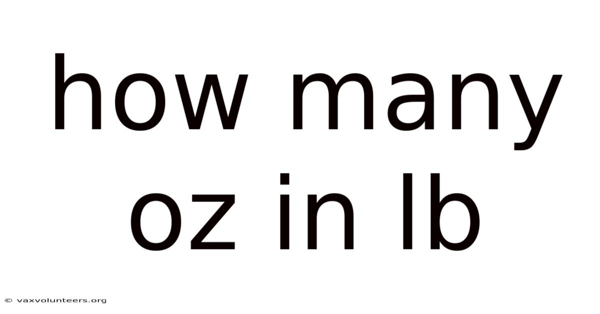 How Many Oz In Lb