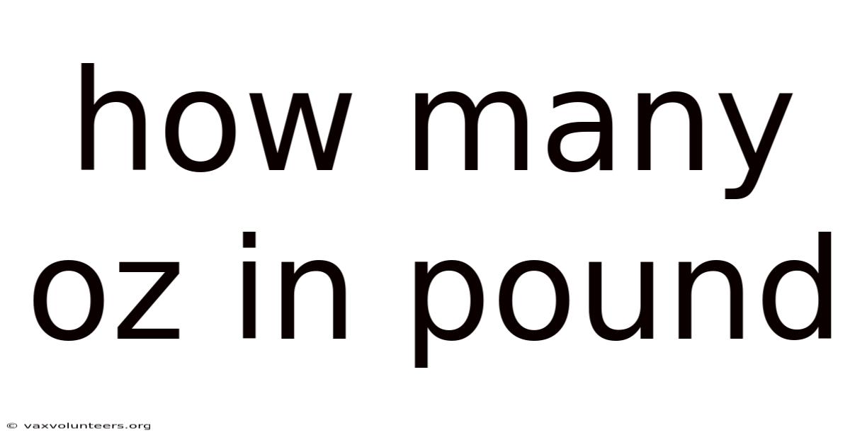 How Many Oz In Pound