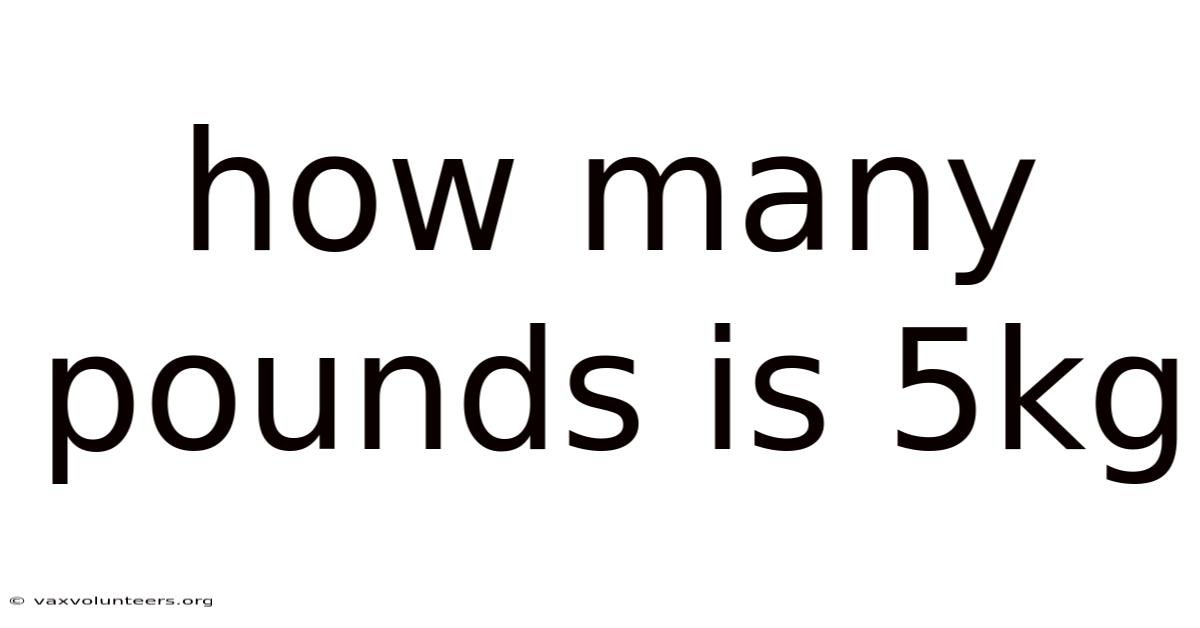 How Many Pounds Is 5kg