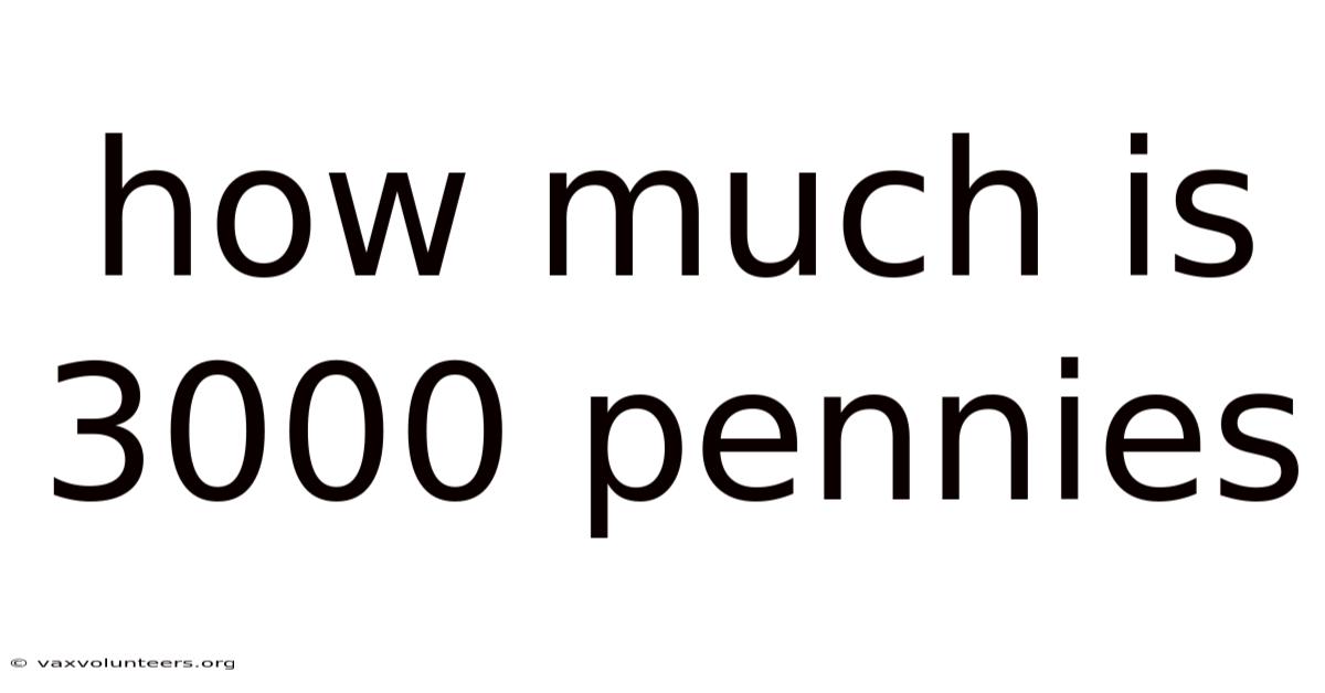 How Much Is 3000 Pennies